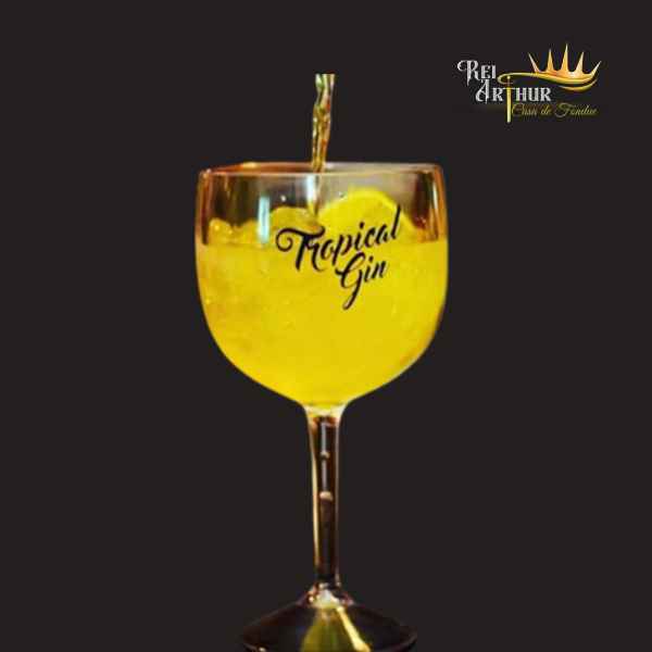 Gin Tropical (Imagem Principal)