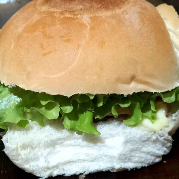 X-SALADA (Imagem Principal)