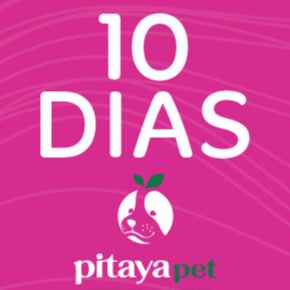 Plano 10 Dias (Imagem Principal)