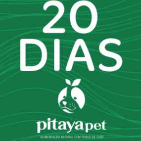 Plano 20 Dias (Imagem Principal)