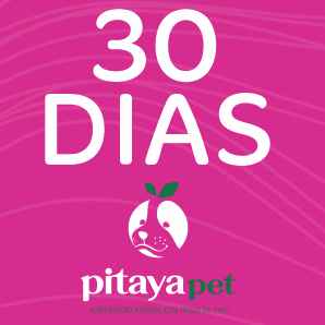 Plano 30 Dias (Imagem Principal)