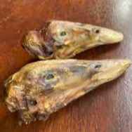 Cabeça de pato (Imagem Principal)