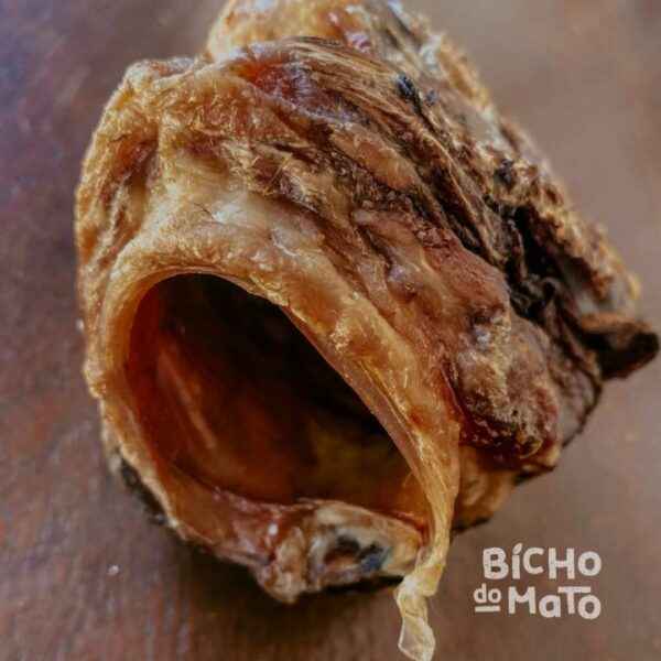 Glote de Boi (Imagem Principal)