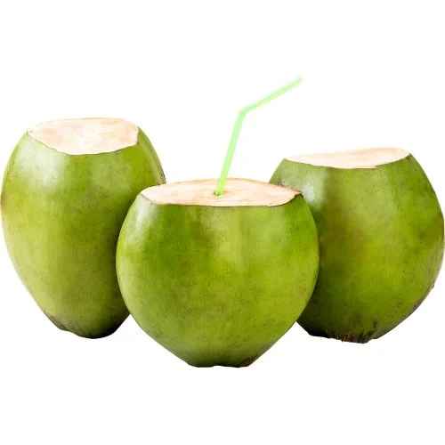 Coco Verde (Imagem Principal)