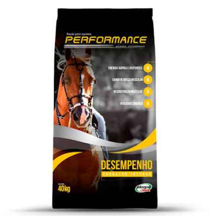 Performance Desempenho (Imagem Principal)