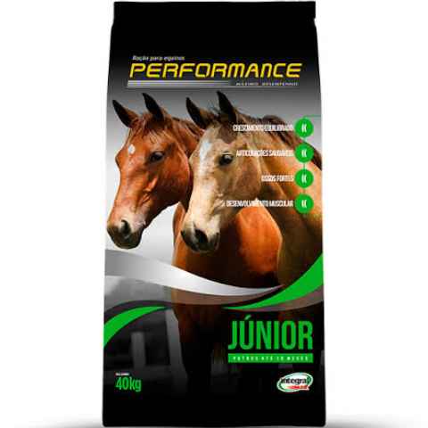 Performance Júnior (Imagem Principal)