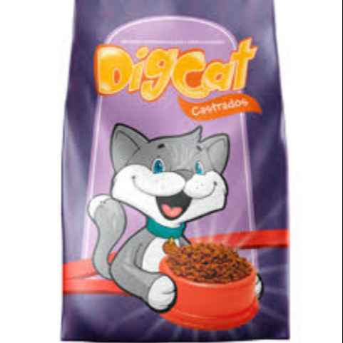 Dig Cat Cadastrados (Imagem Principal)