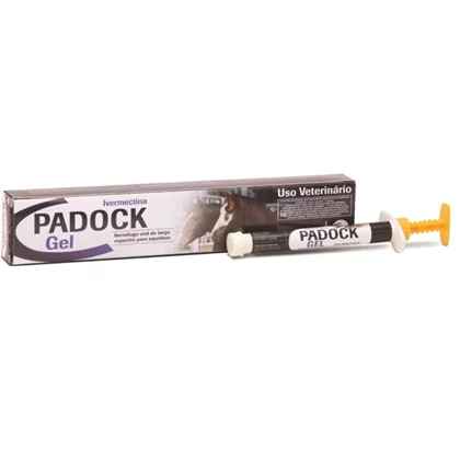 Padock Gel (Imagem Principal)