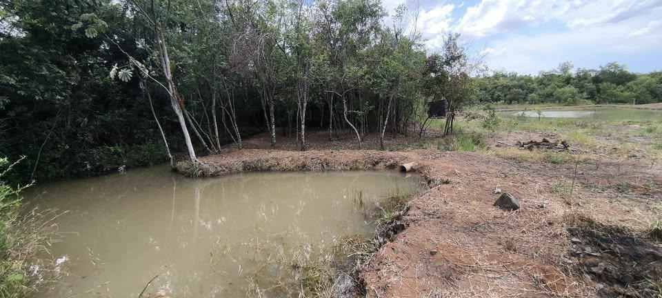 Chácara à venda em São Miguel do Iguaçu
