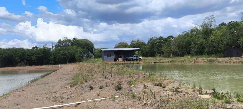 Chácara à venda em São Miguel do Iguaçu