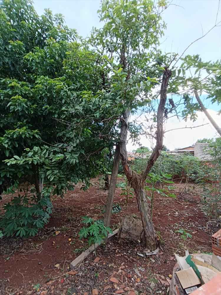 Casa Mobiliada com Ponto Comercial