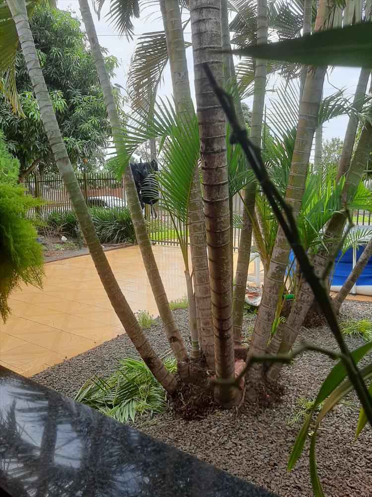 Casa à venda em Parque dos Estados - Santa Terezinha de Itaipu