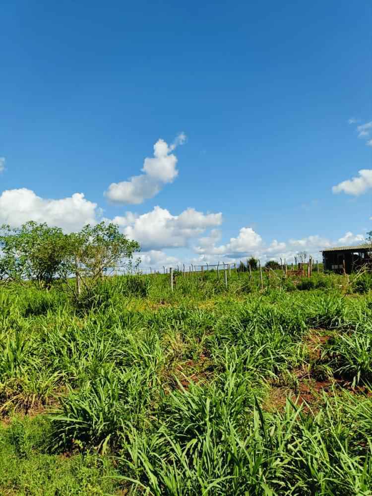 Chácara 29.000m² - São Miguel do Iguaçu PR