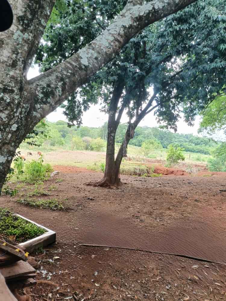 Chácara na serra do Mico
