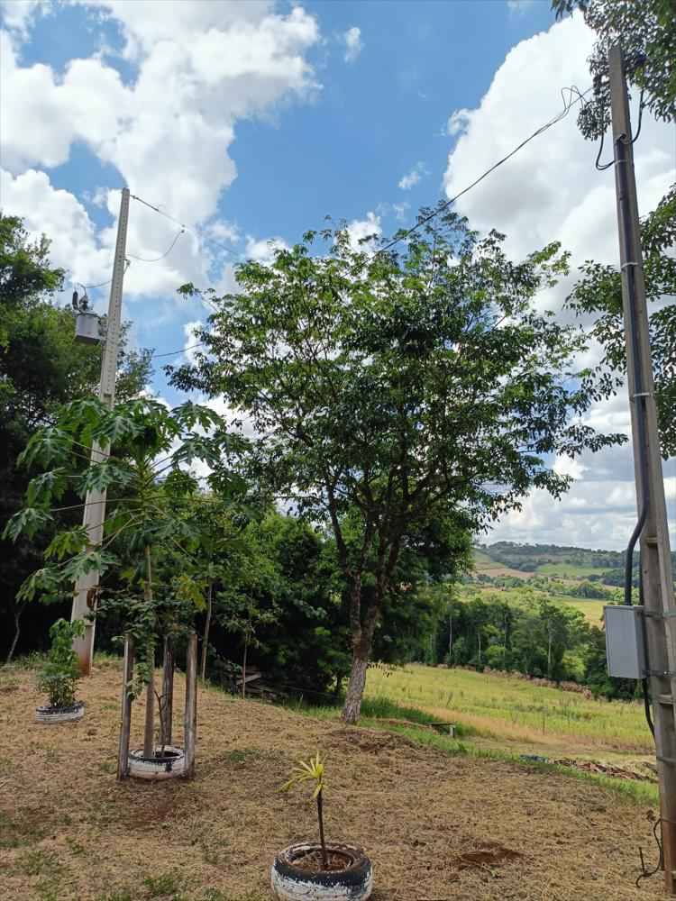 CHÁCARA Á VENDA NA SERRA DO MICO - SÃO MIGUEL DO IGUAÇU