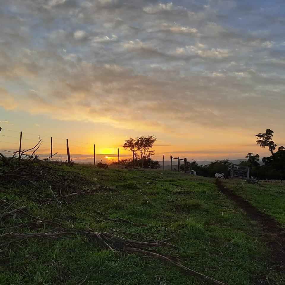 Chácara com aviário