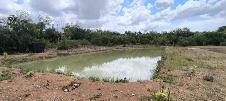Chácara à venda em São Miguel do Iguaçu