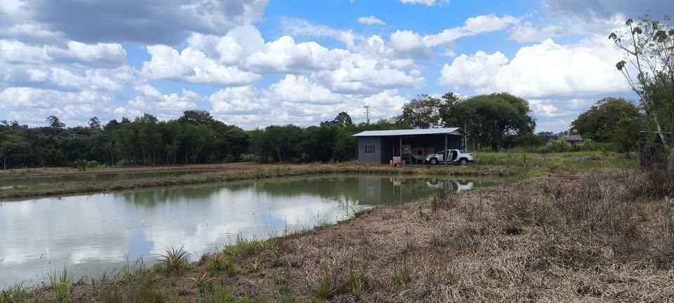 Chácara à venda em São Miguel do Iguaçu