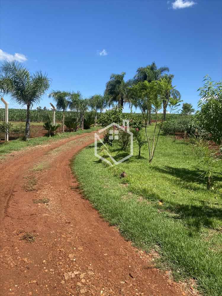 Chácara na Linha são Braz à venda