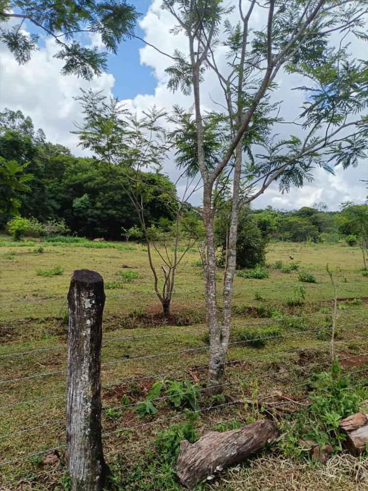 Terreno à venda