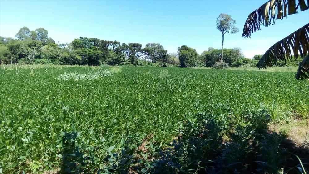 Área de 15.960 m² à Venda – Oportunidade Única em Foz do Iguaçu!