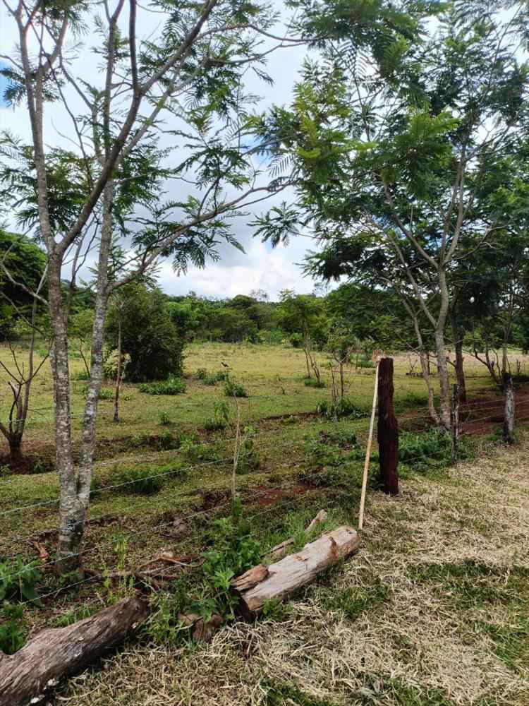 Terreno à venda