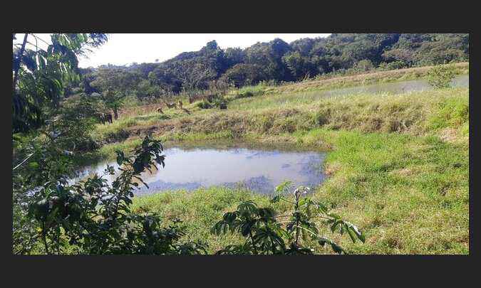 Chácara 6 Alqueires próximo São Miguel do Iguaçu PR 3,5 km do asfalto