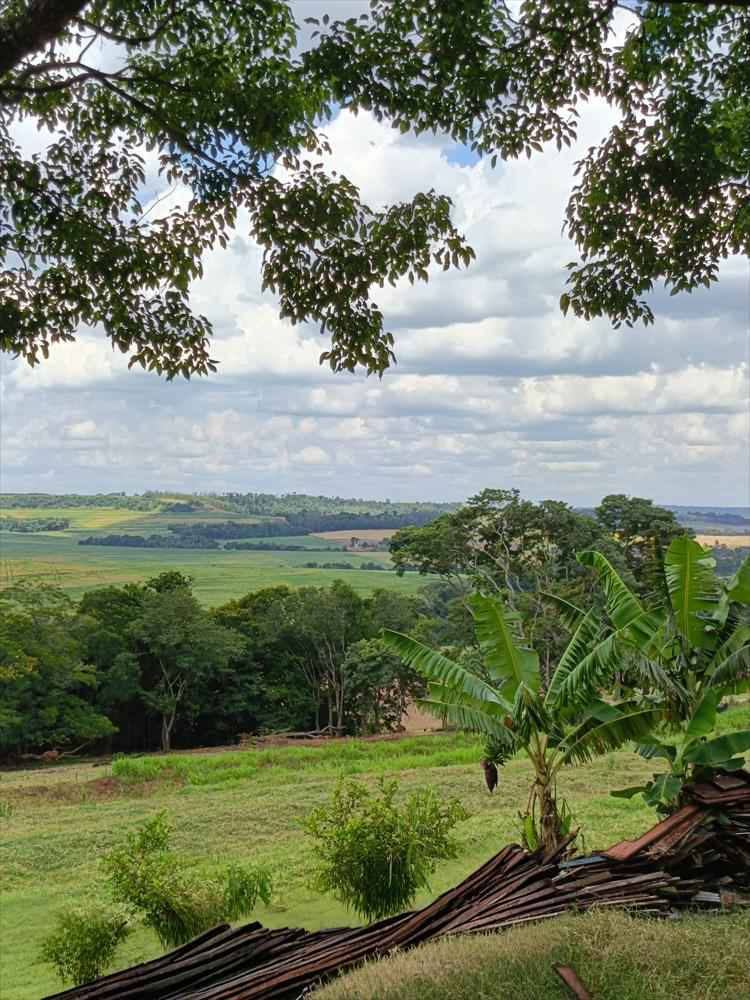 CHÁCARA Á VENDA NA SERRA DO MICO - SÃO MIGUEL DO IGUAÇU