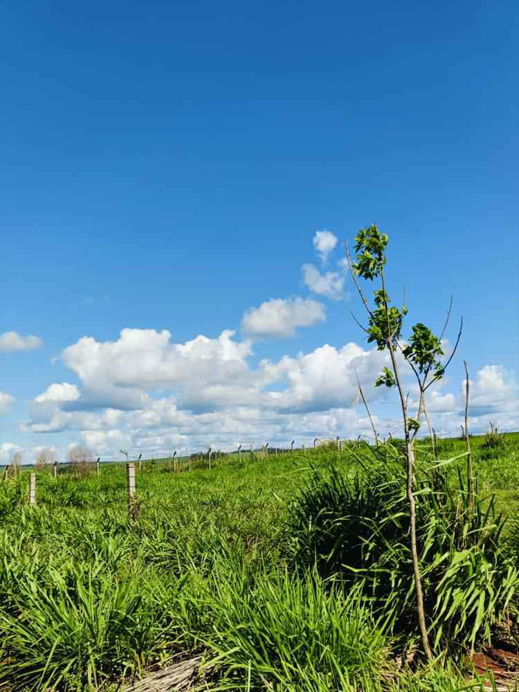 Chácara 29.000m² - São Miguel do Iguaçu PR