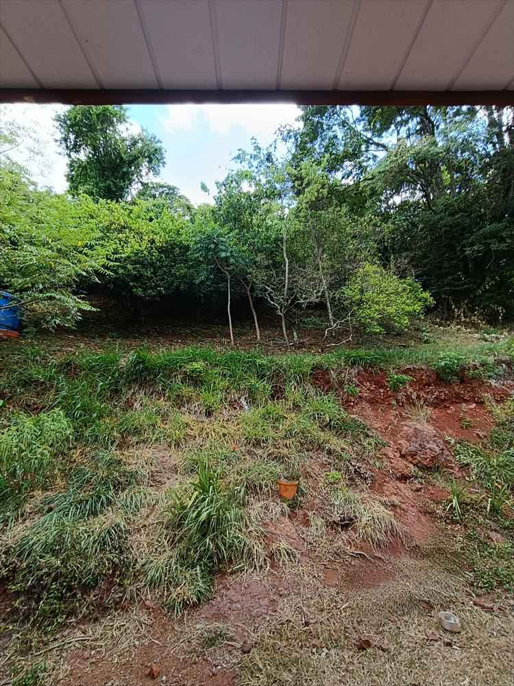 CHÁCARA Á VENDA NA SERRA DO MICO - SÃO MIGUEL DO IGUAÇU