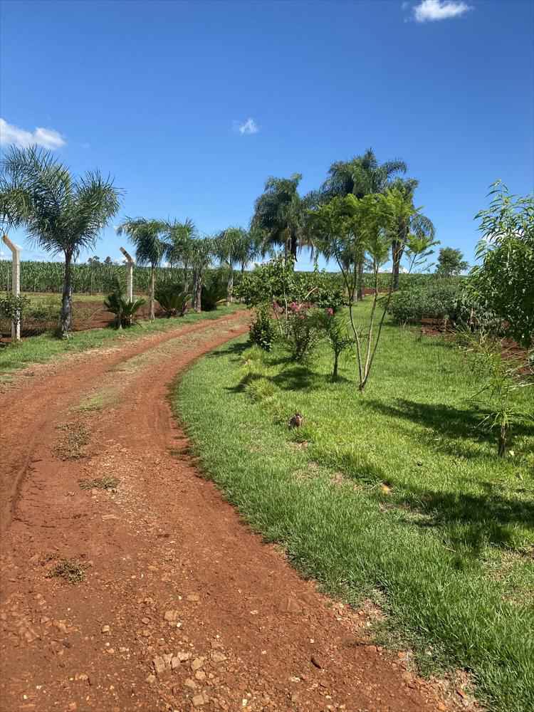 Chácara na Linha são Braz à venda