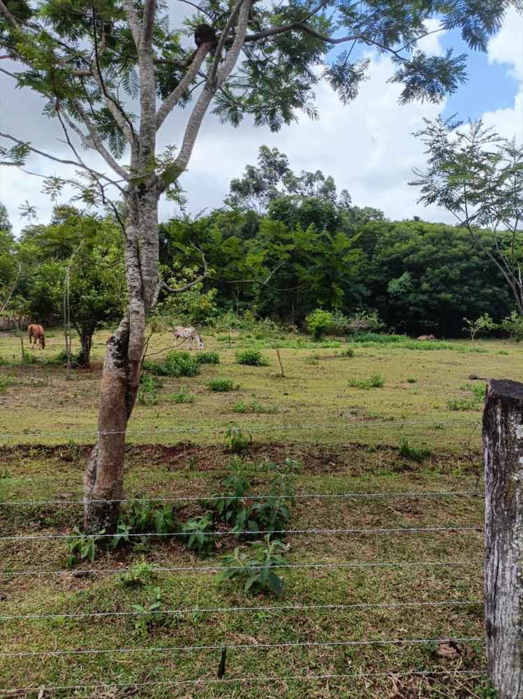 Terreno à venda