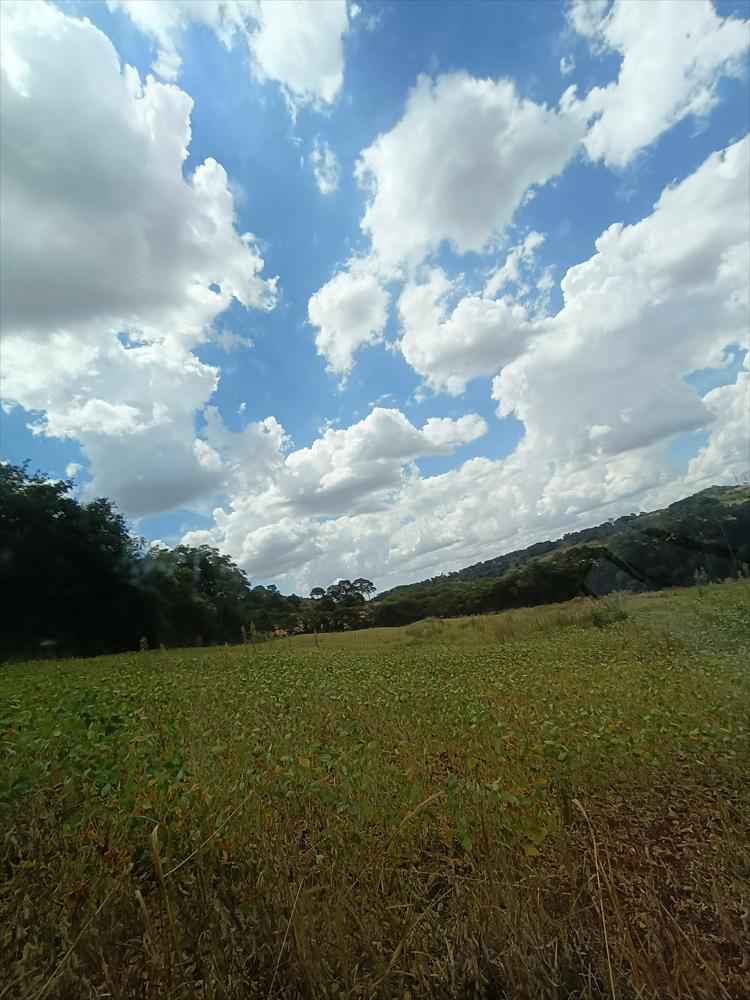 CHÁCARA Á VENDA NA SERRA DO MICO - SÃO MIGUEL DO IGUAÇU
