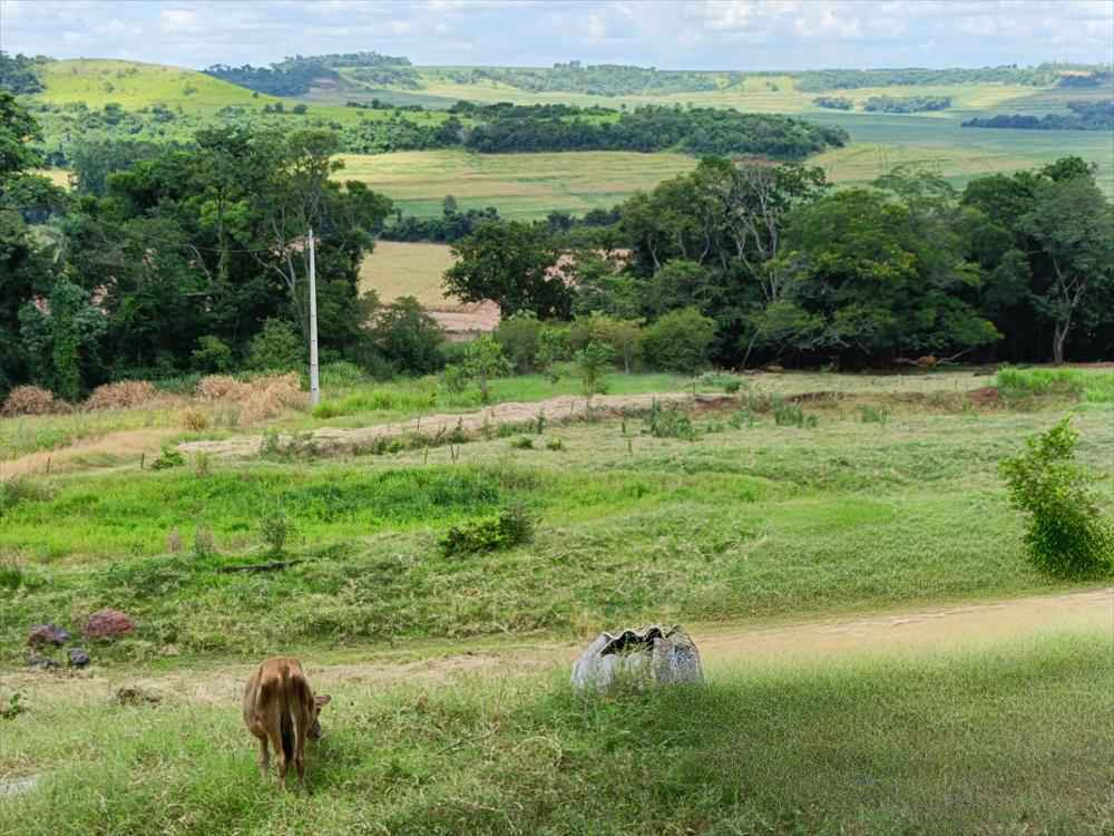 CHÁCARA Á VENDA NA SERRA DO MICO - SÃO MIGUEL DO IGUAÇU
