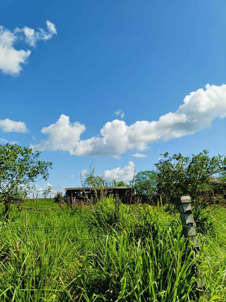 Chácara 29.000m² - São Miguel do Iguaçu PR