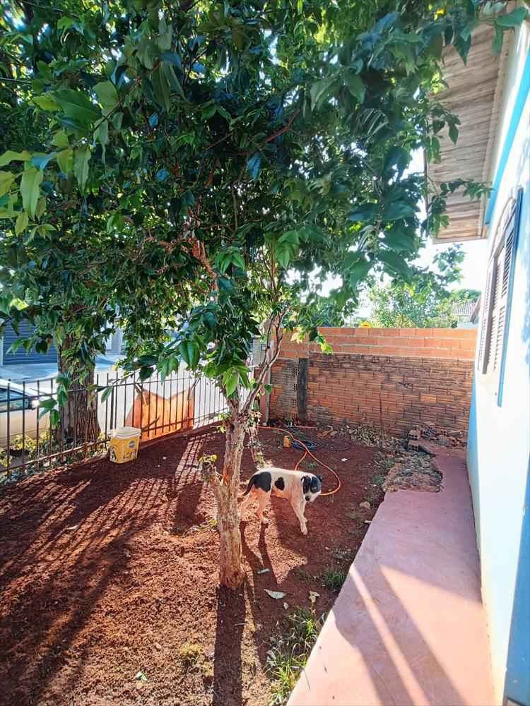 Casa à venda no soster