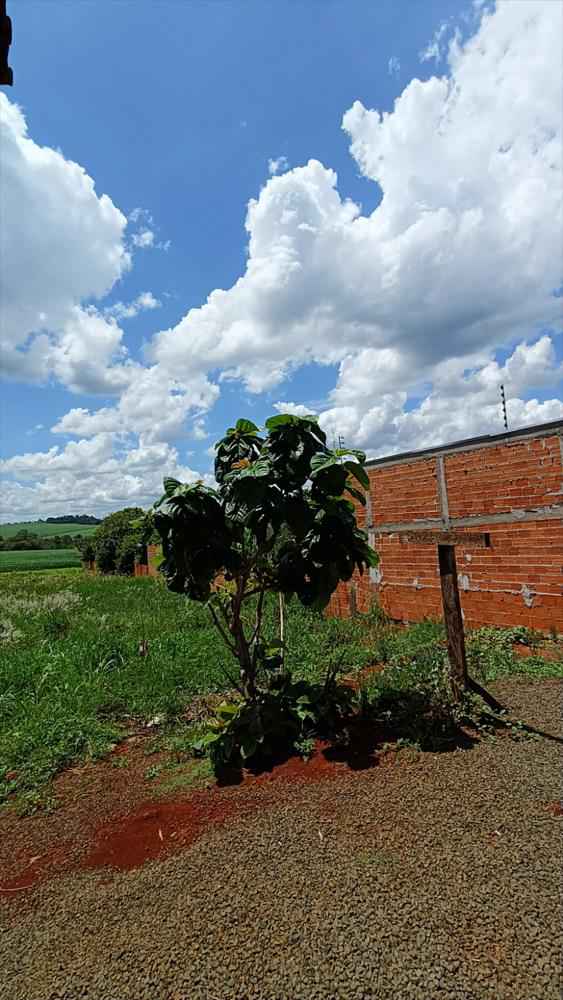 Casa à Venda em São Miguel do Iguaçu - Bairro São Jorge
