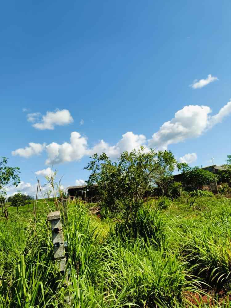 Chácara 29.000m² - São Miguel do Iguaçu PR