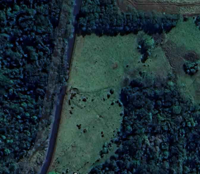 Área Rural Escriturada com Asfalto na Porta – 11,2 Hectares em São Miguel do Iguaçu/PR!