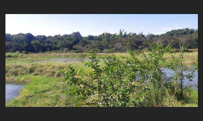 Chácara 6 Alqueires próximo São Miguel do Iguaçu PR 3,5 km do asfalto