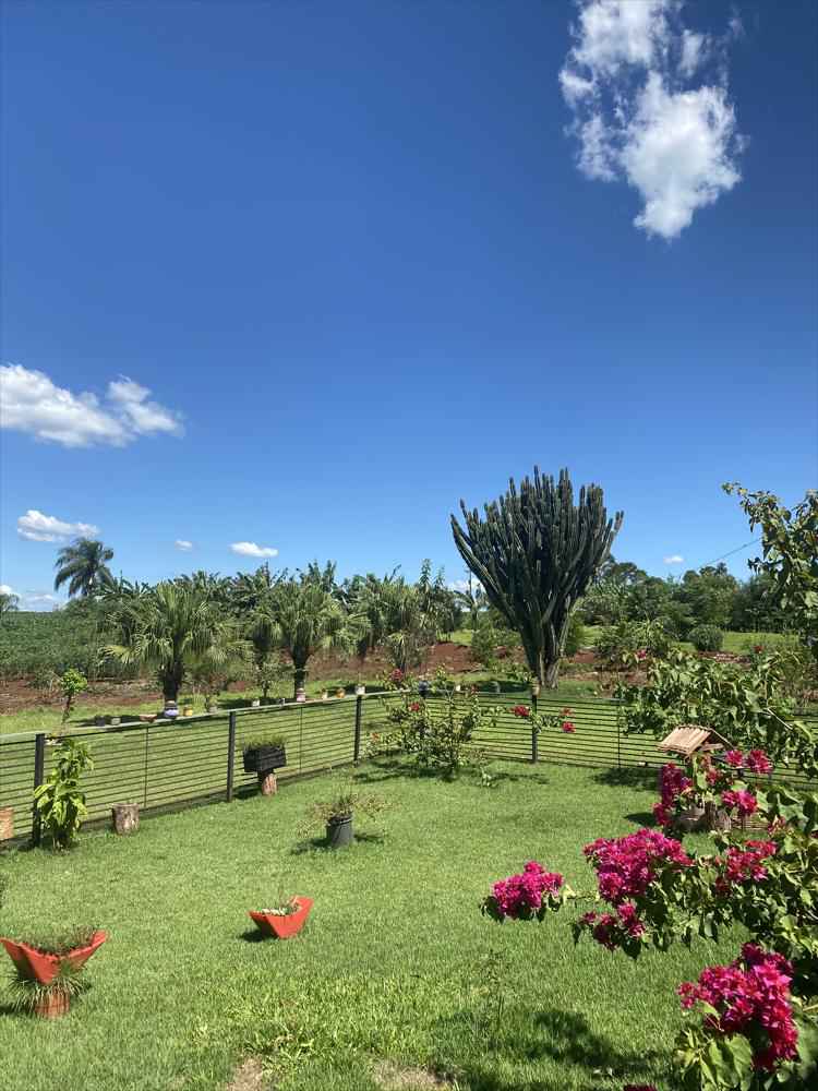 Chácara na Linha são Braz à venda