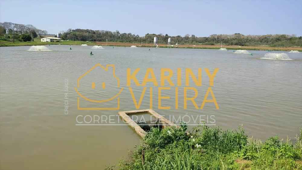 SÍTIO PRODUTIVO À VENDA – SÃO MIGUEL DO IGUAÇU/PR