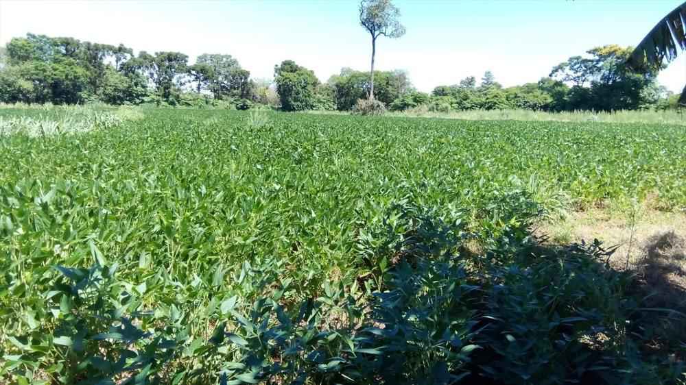 Área de 15,950 m² à Venda – Oportunidade Única em Foz do Iguaçu!