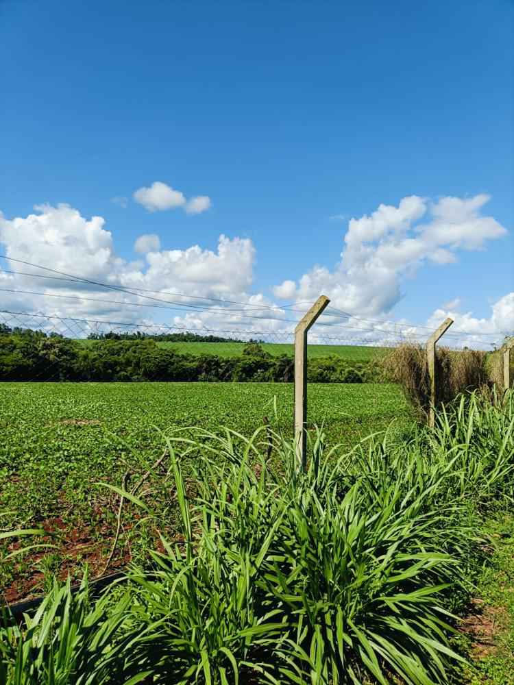 Chácara 29.000m² - São Miguel do Iguaçu PR