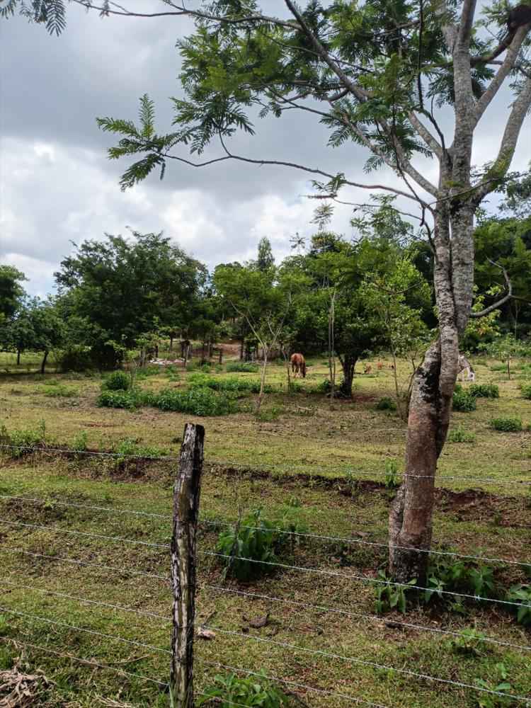 Terreno à venda
