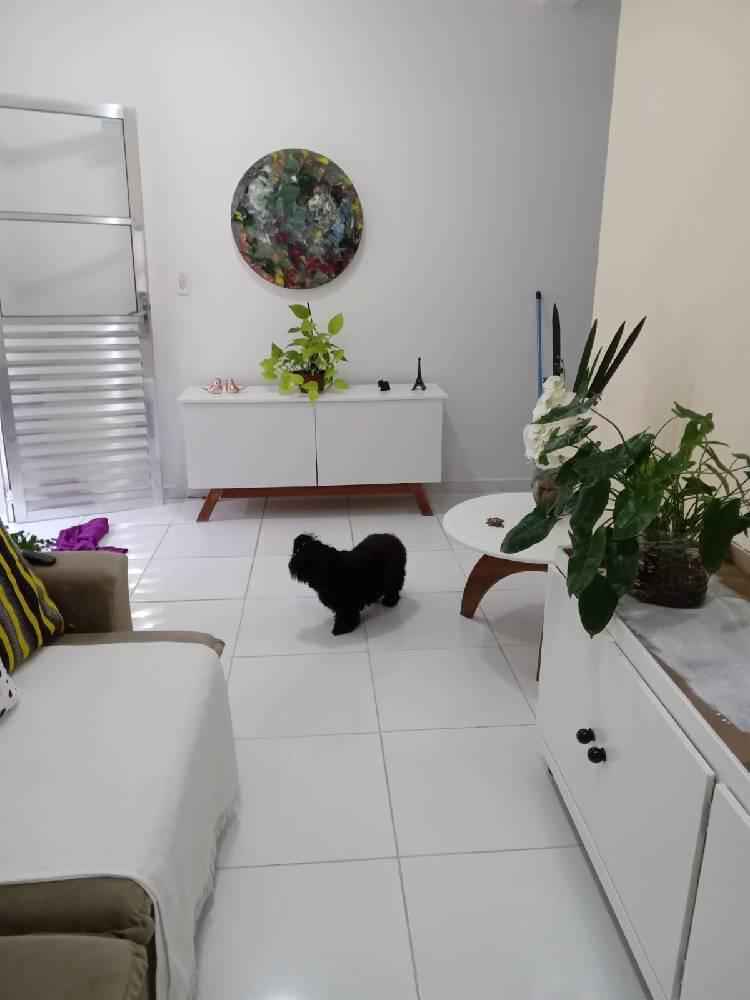 vende duas casas no bairro de pirapama
