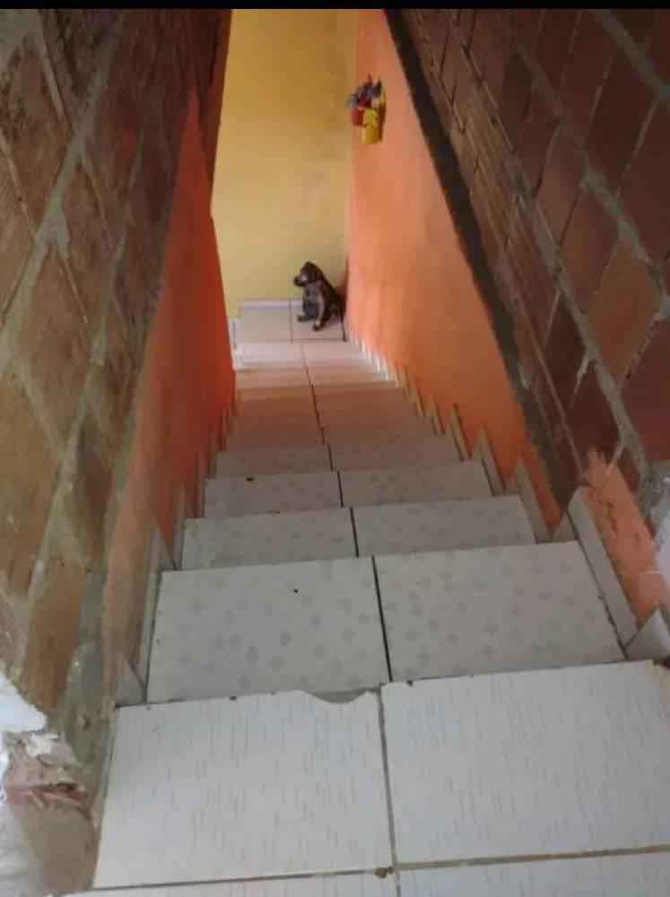vende se duplex em enseadas. 