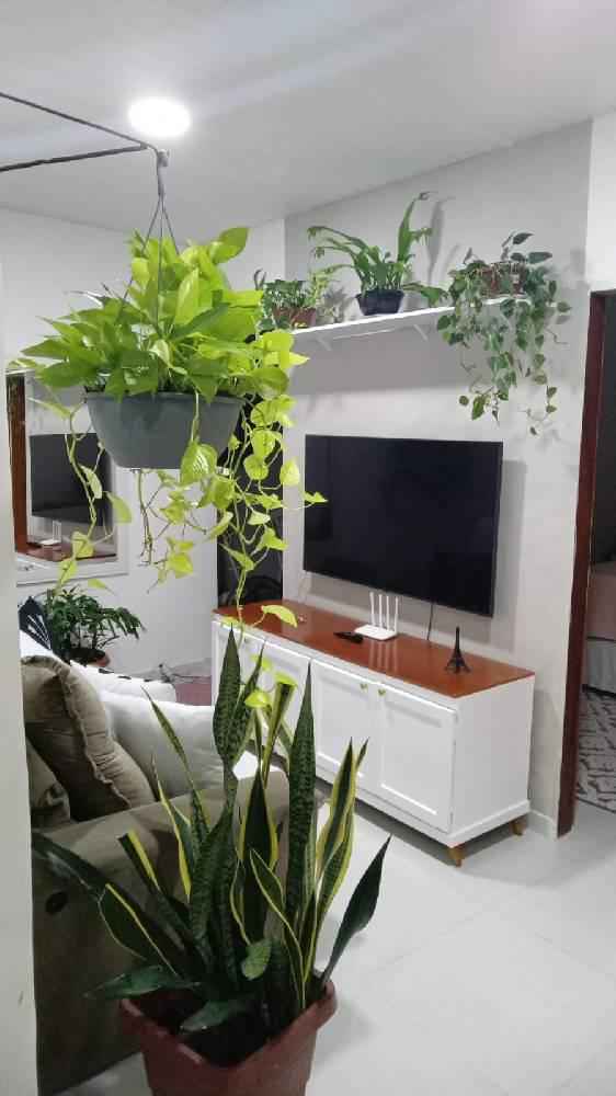 vende duas casas no bairro de pirapama