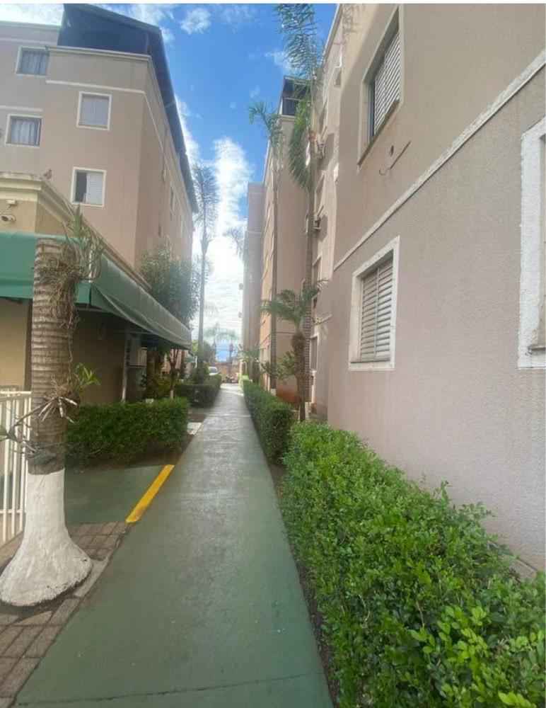 Jardim Tarraf - Zona Sul